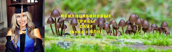 хмурый Богородицк