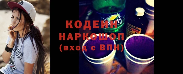 хмурый Богородицк