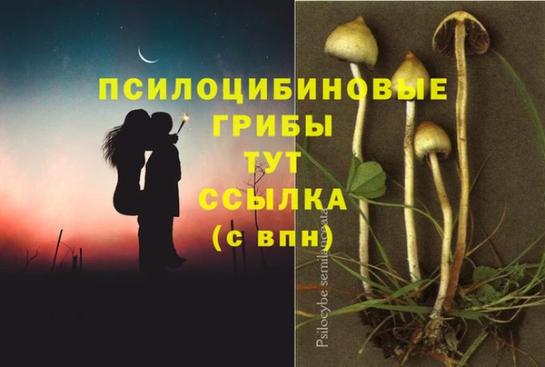амфетамин Богданович