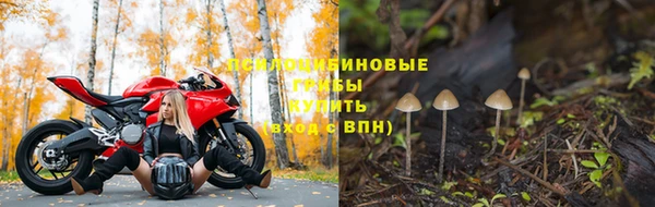 хмурый Богородицк